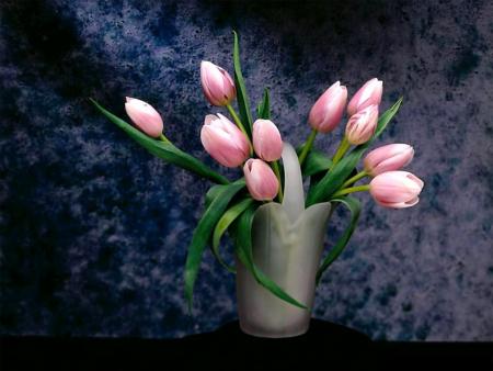 Fleur d'amour